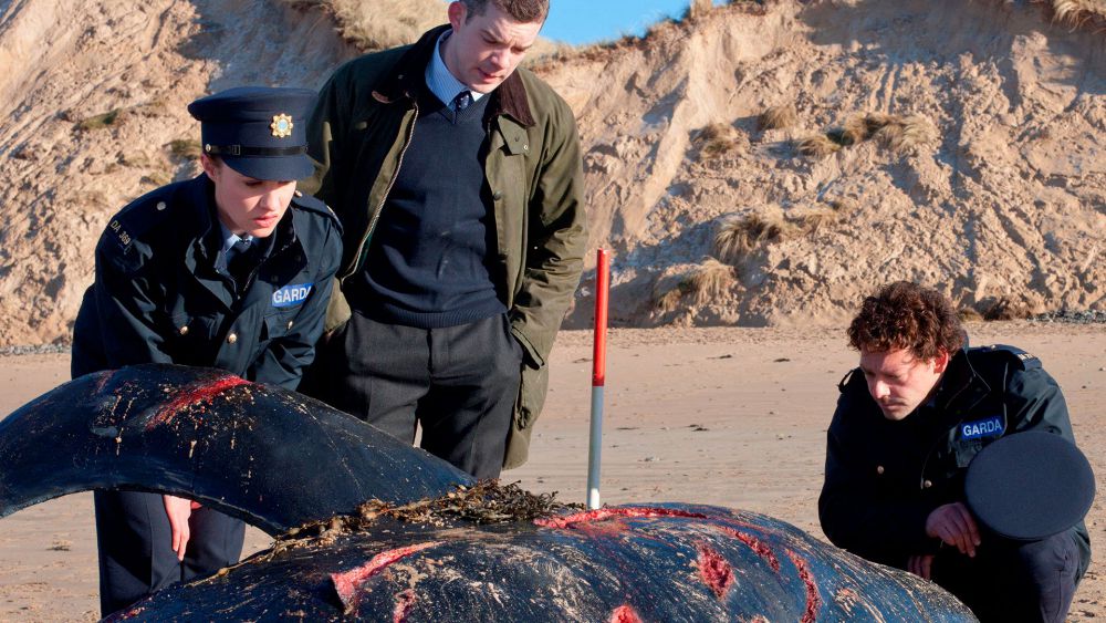 j1PN1v9eP1y1mwkVLA0dcIwhM6g