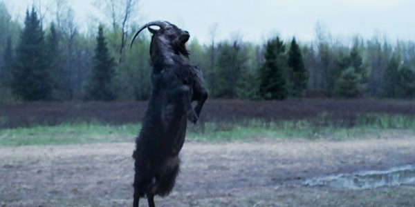 the-witch-2015-black-phillip-goat-gores-father-review-600x300